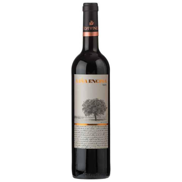 Elvi Vina Encina Red 2024