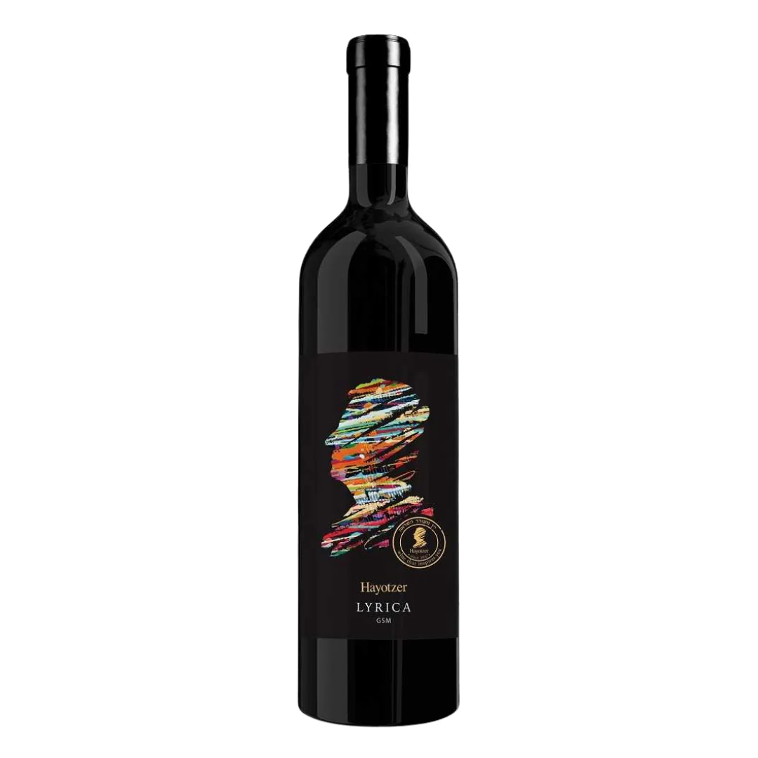 Hayotzer Lyrica GSM 2020