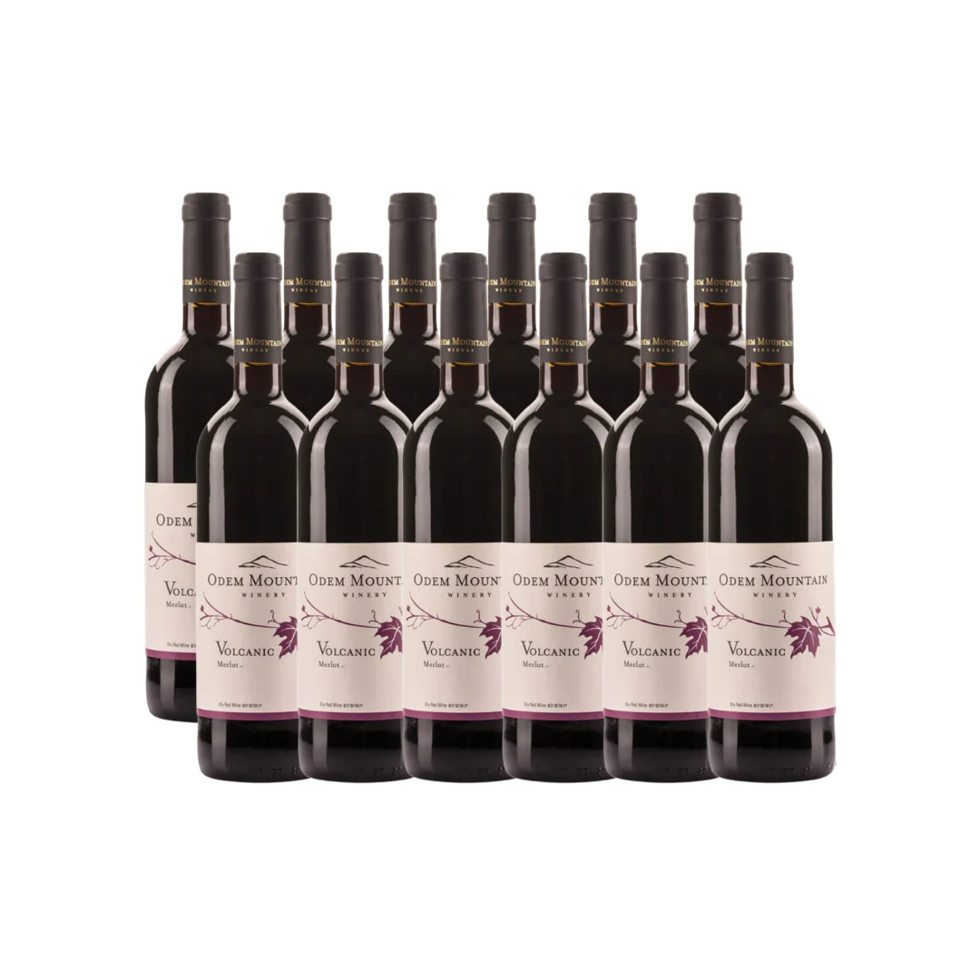 Odem Mountain Volcanic Merlot 2023 (Case)