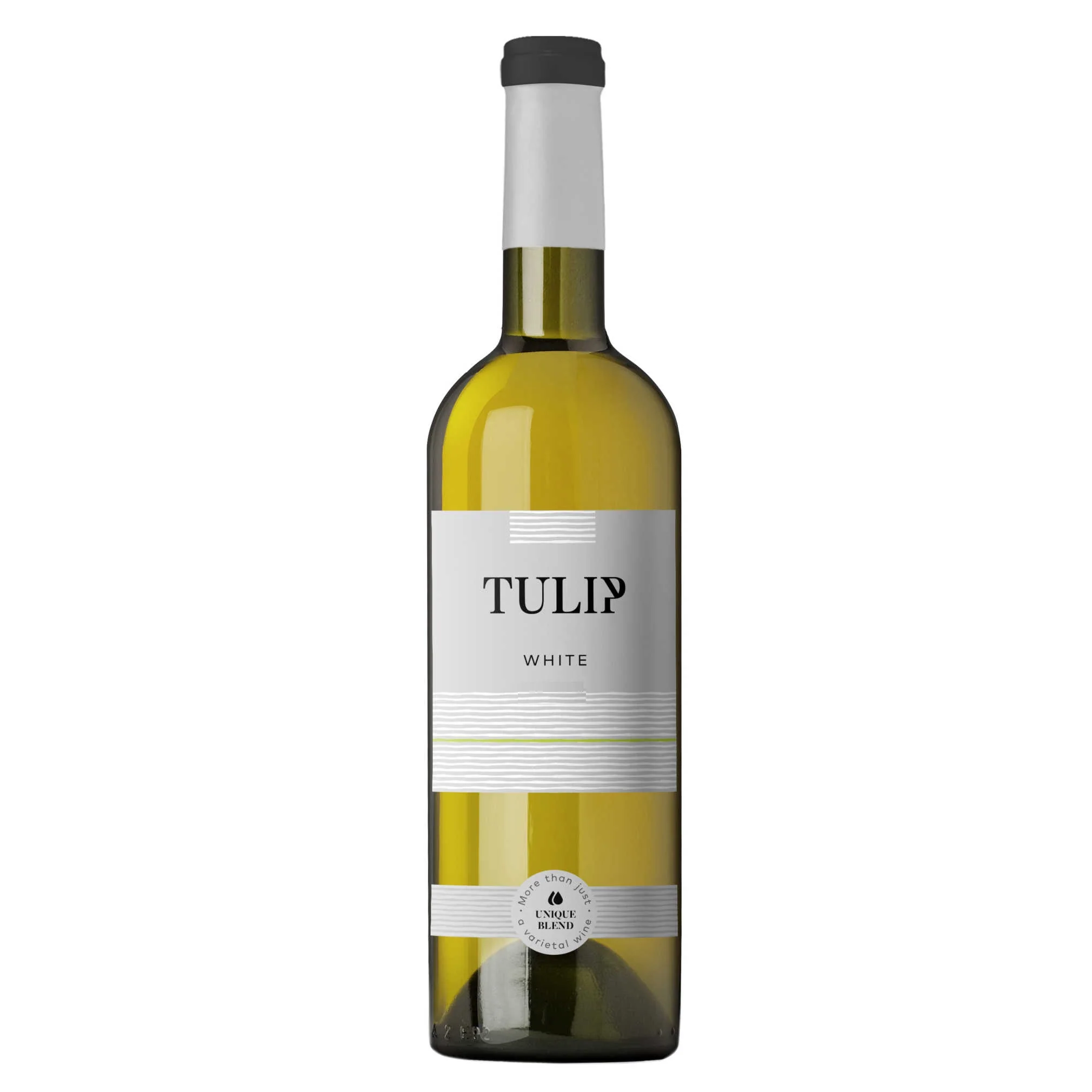 Tulip White 2023
